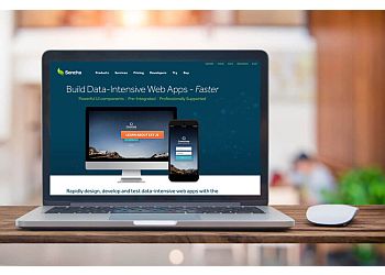 San Jose Web Designers Webdogs LLC.