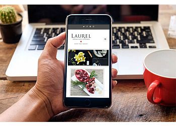 San Jose Web Designers Webdogs LLC.