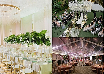 W Event Design - Hialeah, FL Event Management Companies - Business highlights