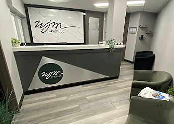 Detroit Accounting Firms WJM CPA