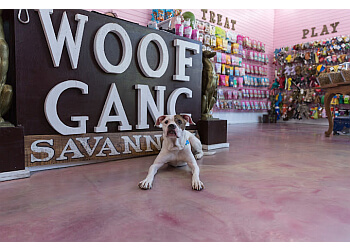 3 Best Pet Grooming in Savannah, GA - Expert Recommendations