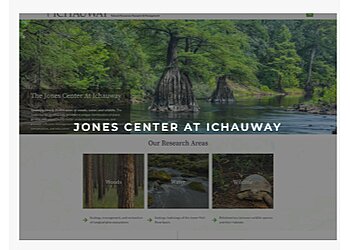 Tallahassee Web Designers WPTallahassee