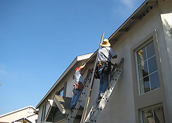 Garden Grove Pest Control Companies WRM Termite Control