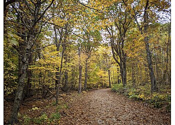 Worcester Hiking Trails Wachusett Mountain State Reservation