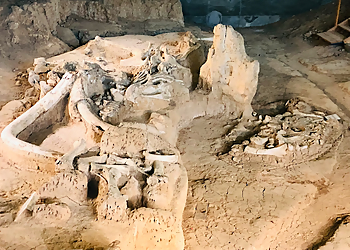 Waco Places To See Waco Mammoth National Monument