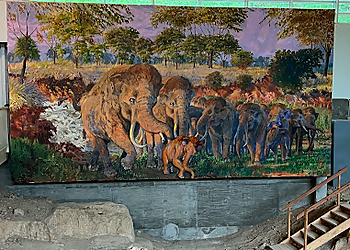 Waco Places To See Waco Mammoth National Monument