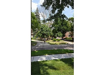 Detroit Tree Services Wades Tree Service