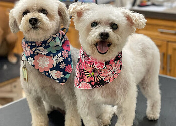 Wag'N Tails Pet Resort - Lansing, MI Pet Grooming - Service Image