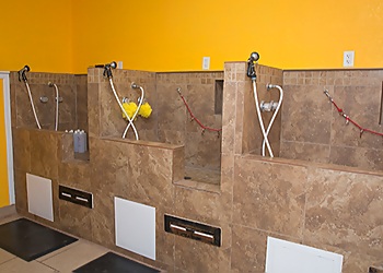 Tempe Pet Grooming Wagging Tails Pet Resort