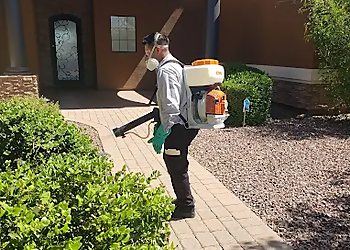 Glendale Pest Control Companies Wagner Pest Solutions