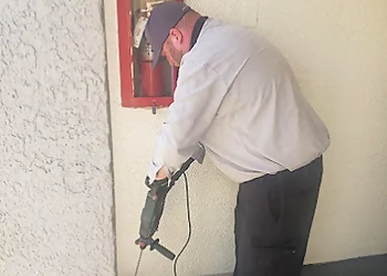 Glendale Pest Control Companies Wagner Pest Solutions