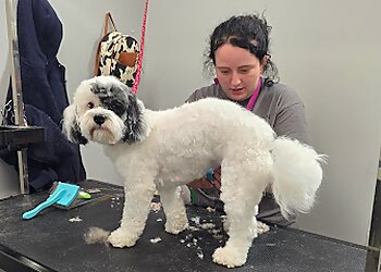 Columbus Pet Grooming Wags to Riches