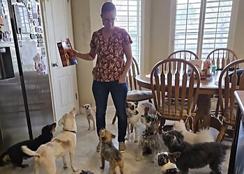 El Paso Dog Walkers Wagwithana