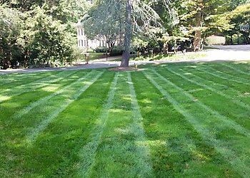 Raleigh Lawn Care Services Wake Pro Lawn Care