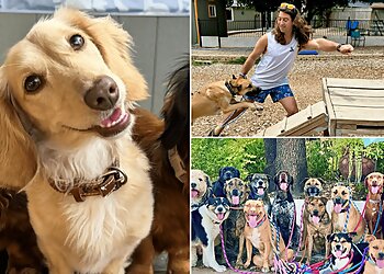 Austin Dog Walkers Walk! ATX Pet Care