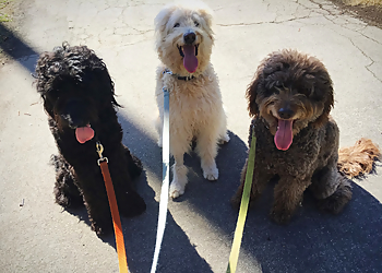 Walk'n Wag'n Pets - Anaheim, CA Dog Walkers - Job Site Image
