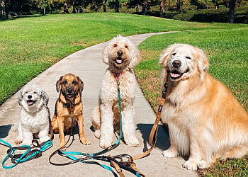 Walk'n Wag'n Pets Anaheim Dog Walkers