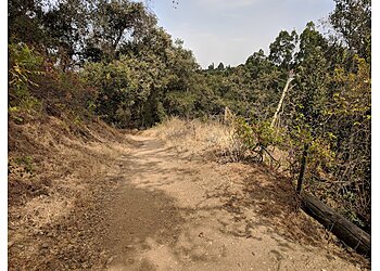 Pomona Hiking Trails Walnut Creek Community Regional Park