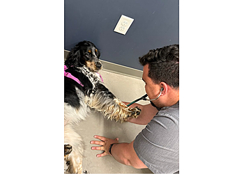 Walnut Creek Veterinary Clinics Walnut Creek Veterinary Hospital