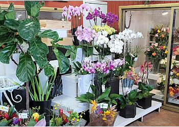 Walteria Flower Shop - Torrance, CA Florists - Floral Arrangement Image