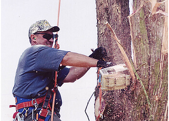 3 Best Tree Services in Newport News, VA - Expert ...