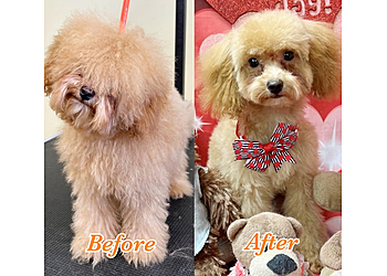 Honolulu Pet Grooming Wan Wan Paradise