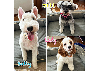 Honolulu Pet Grooming Wan Wan Paradise