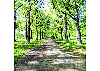 Elizabeth Hiking Trails Warinanco Park
