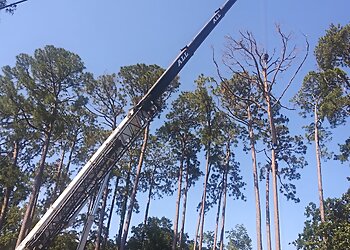 Jacksonville Tree Services Warming Tree Services, Inc.
