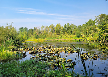 Seattle Public Parks Warren G. Magnuson Park