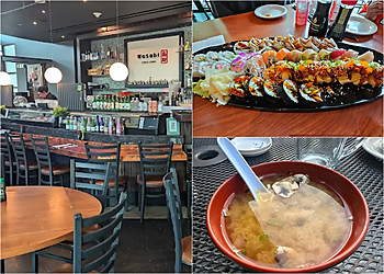 Lakewood Japanese Restaurants Wasabi Sushi Bar