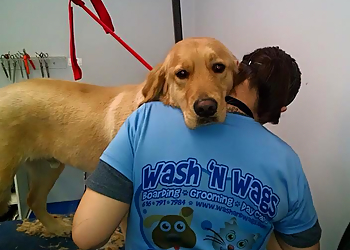 Wash & Wags Pet Grooming Grand Rapids Grand Rapids Pet Grooming image 1