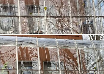 Allentown Window Cleaners Wash Window Cleaning