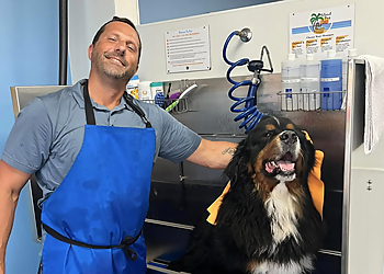 Charleston Pet Grooming Washes and Wags Pet Grooming