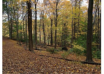 Newark Hiking Trails Watchung Reservation