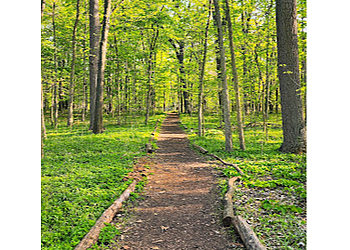 Waterfall Loop Trail Dearborn Hiking Trails image 1