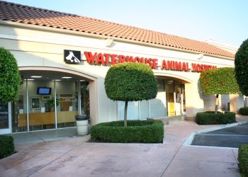 3 Best Veterinary Clinics in Fresno, CA - ThreeBestRated