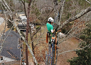 Columbia Tree Services Watson Arbor Service