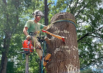 Watson Arbor Service Columbia Tree Services image 1