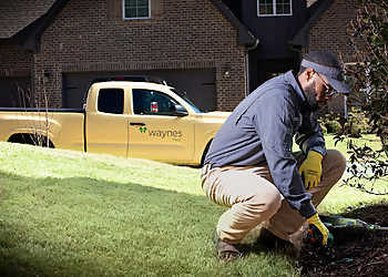 Huntsville Pest Control Companies Waynes Pest Control