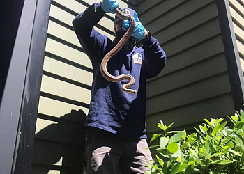 Santa Rosa Pest Control Companies We Care Pest Solutions