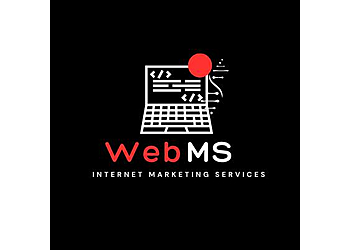 Web MS-Internet Marketing Services Montgomery Web Designers image 1