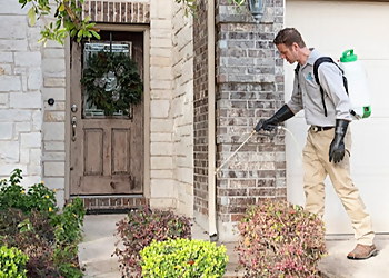 Round Rock Pest Control Companies Webb Pest Service