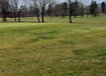 Allentown Golf Courses Wedgewood Golf Club