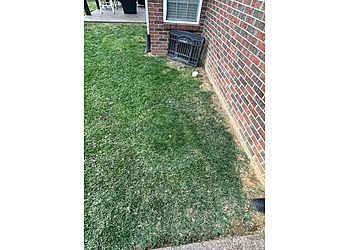 Evansville Lawn Care Services Weed Man