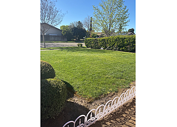 Fresno Lawn Care Services Weed Man