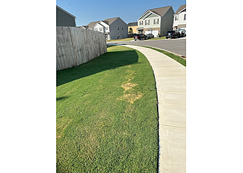 Knoxville Lawn Care Services Weed Man