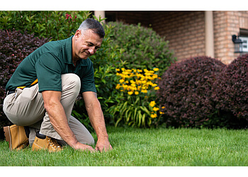 Winston Salem Lawn Care Services Weed Man Winston Salem