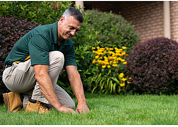 Buffalo Lawn Care Services Weed Man Lawn Care