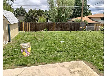 Colorado Springs Lawn Care Services Weed Man Lawn Care